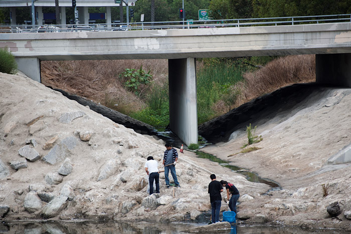 A group of Banning High School students use nets to collect debris from the channel south of Artesia Boulevard.